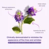 Aniise Anti-Aging Bakuchiol Eye Serum - Retinol Alternative